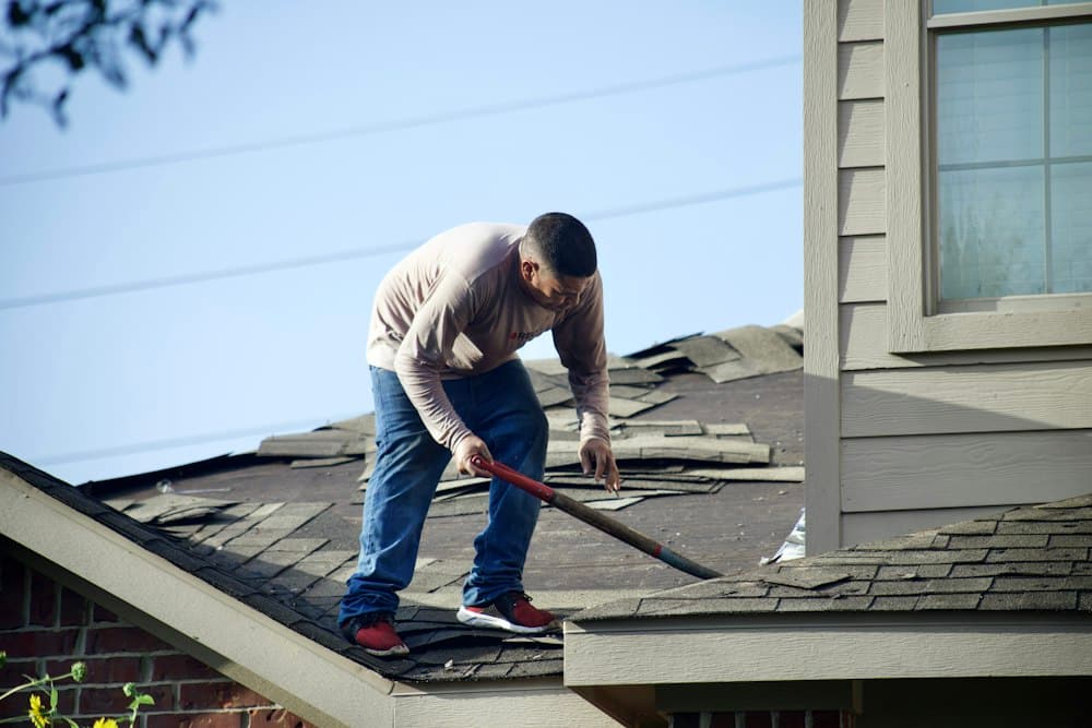 Hail-damaged shingles